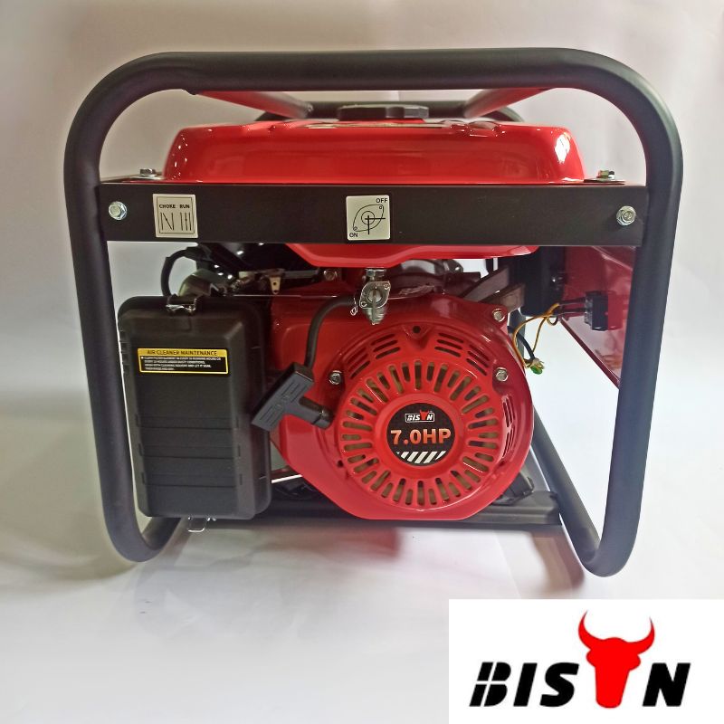 Générateur d’Électricité BS3500 BISON – Image 3
