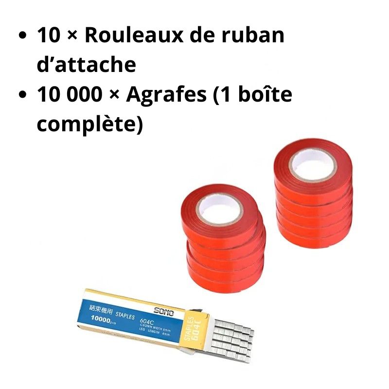Kit Consommables (Rubans + Agrafes)