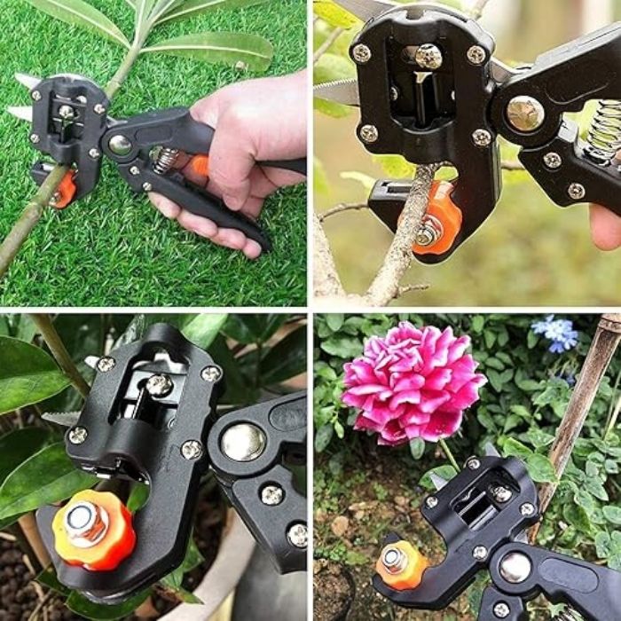 Sécateur de greffage professionnel LISHUI