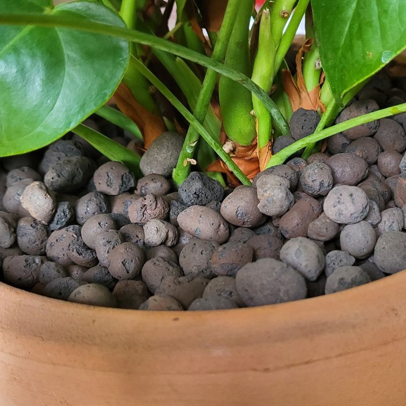 Billes d’argile 5/15 mm – Sac 6 L Agrofino – Image 3