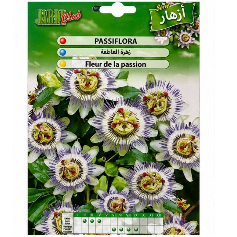 Graines de Fleur de la Passion Passiflora Jardi Club