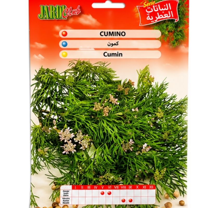 Graines de Cumin Jardi Club