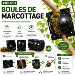 Boules de marcottage – Pack de 10