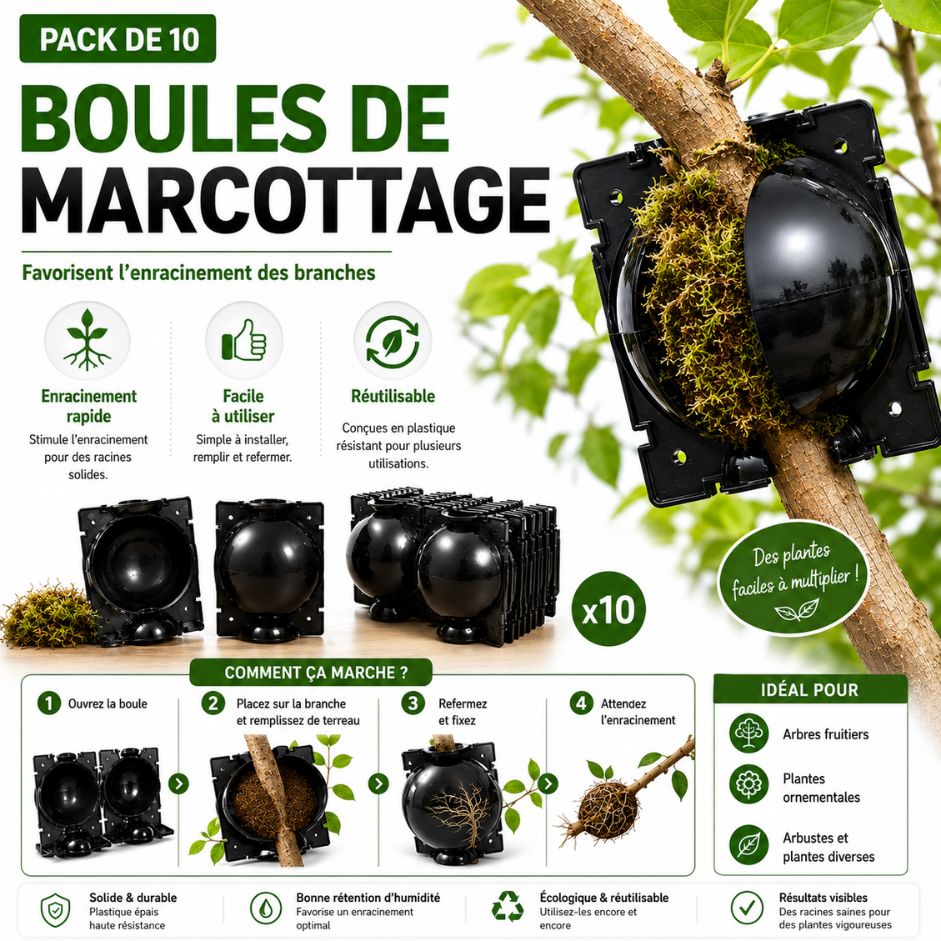 Boules de marcottage – Pack de 10