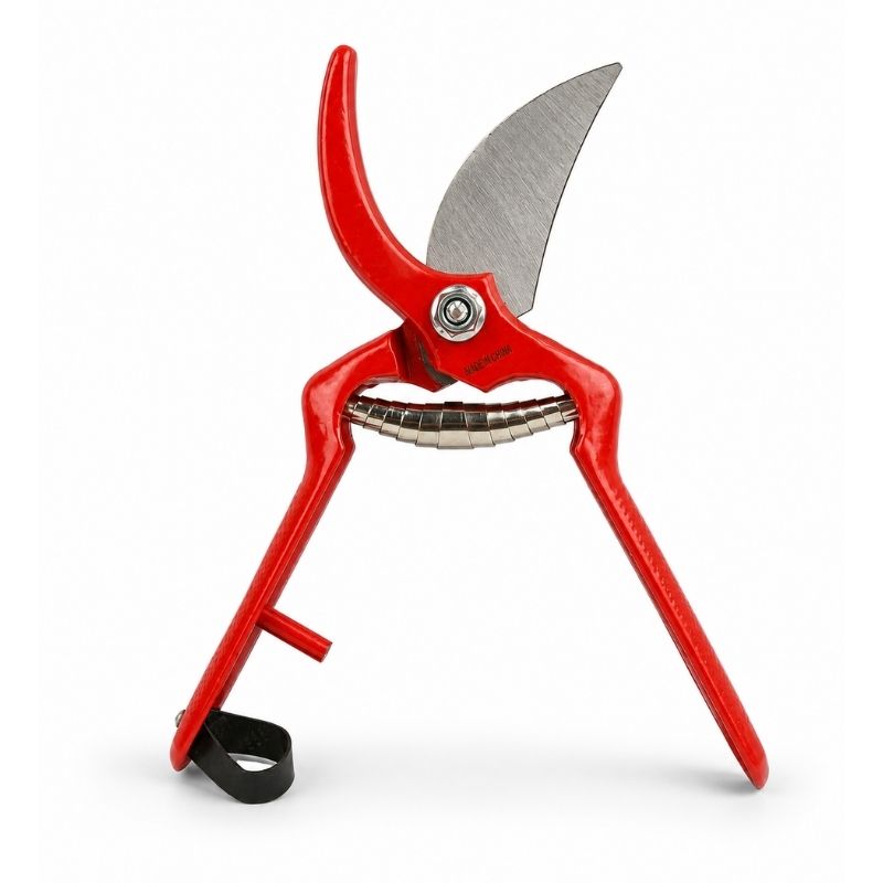 Sécateur professionnel 20 cm 3501-20 – BELLOTA