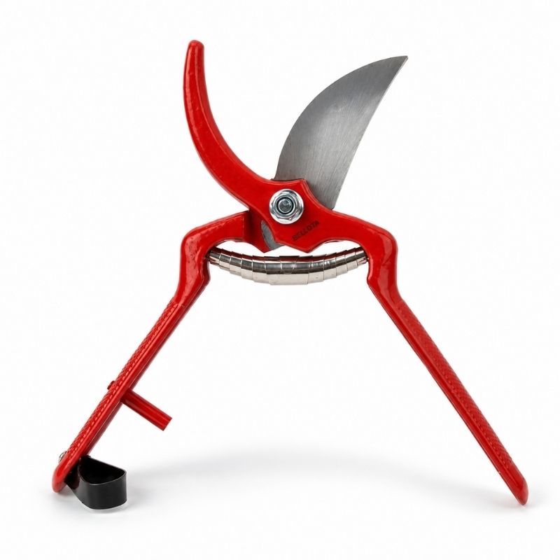 Sécateur professionnel 3501-22 – BELLOTA