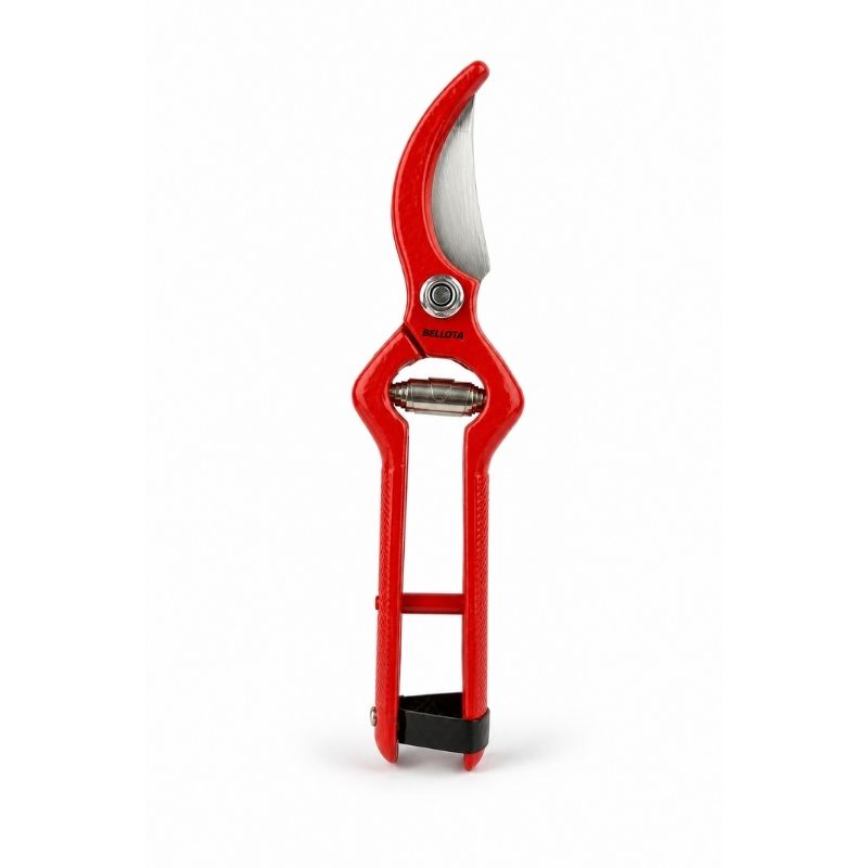 Sécateur professionnel 3501-22 – BELLOTA